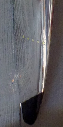 Appliques "Saumon d'aile" Appliques "Saumon d'aile"